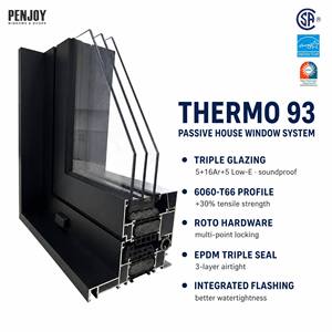 Penjoy Triple Glazing Low-E Tempered Glass Aluminum Swing Window